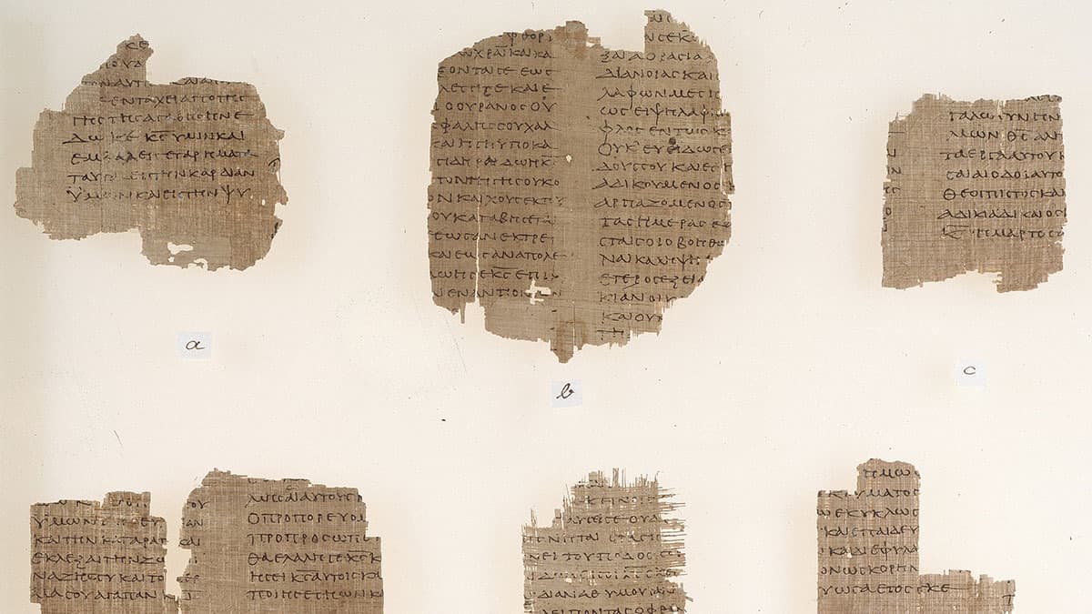 Chester Beatty Papyri