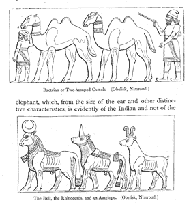 Layard, Nineveh and its Remains, p.246