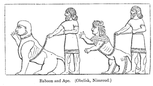 Layard, Nineveh and its Remains, p.247